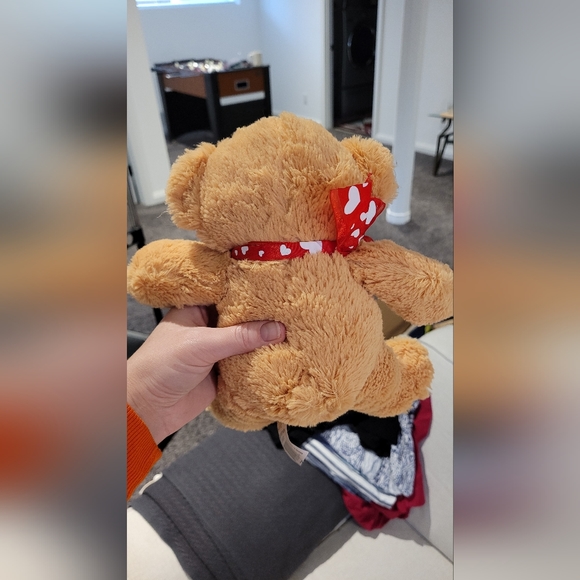 Teddy Bear 🧸 - Picture 4 of 4